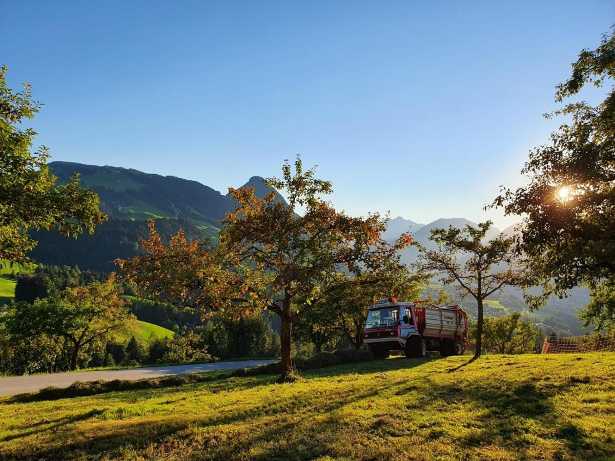 Hotel & Alpengasthof Pinzgerhof Райт им Алпбатхал Екстериор снимка